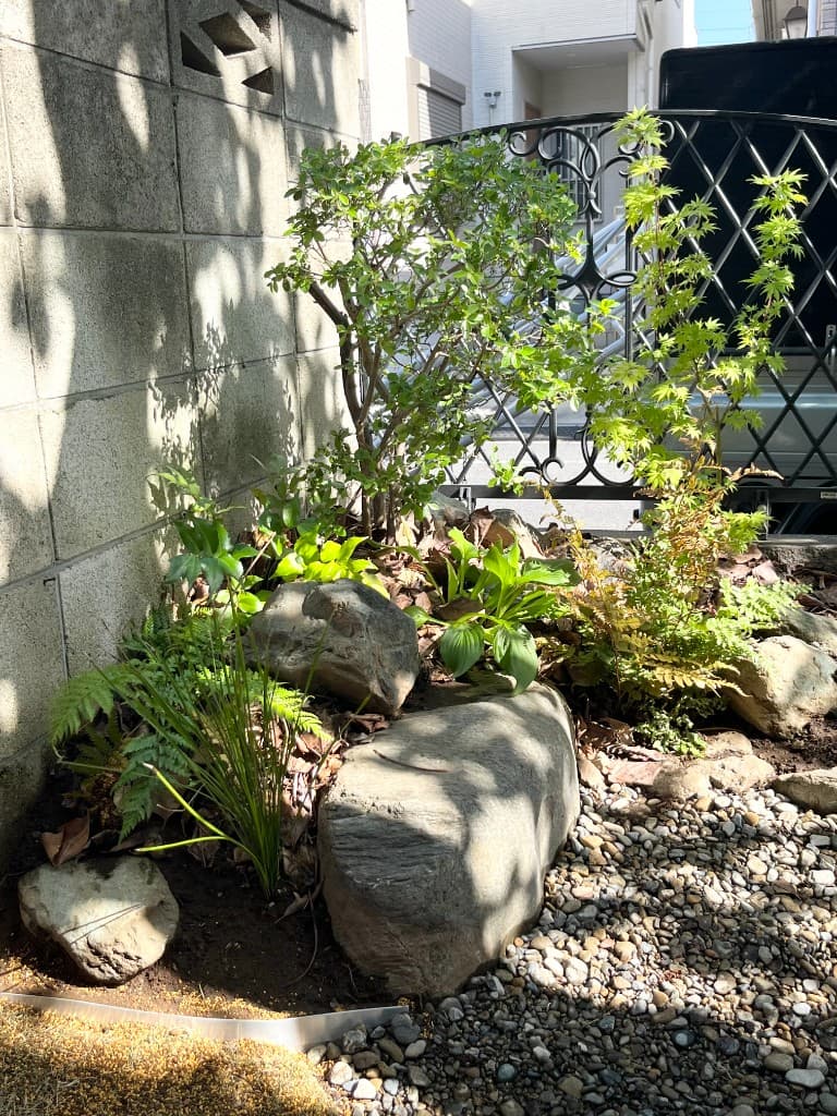 心地よい木漏れ日