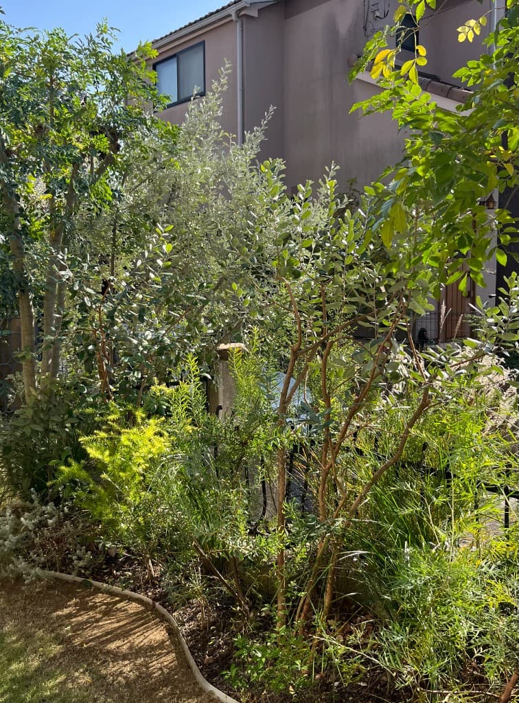 春日部市 K邸 リガーデン